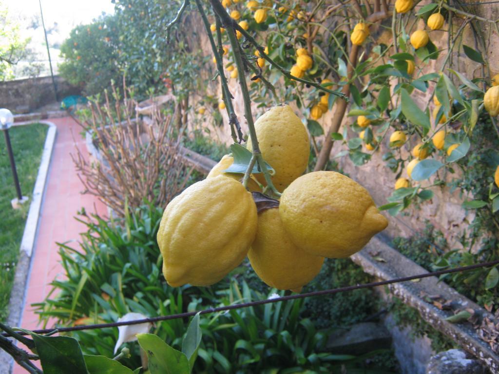 Holiday Home Il Borgo Degli Agrumi Uzzano Luaran gambar